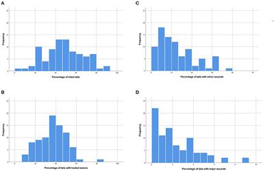 Evaluation of Tail Lesions of Finishing Pigs at the Slaughterhouse: Associations With Herd-Level Observations